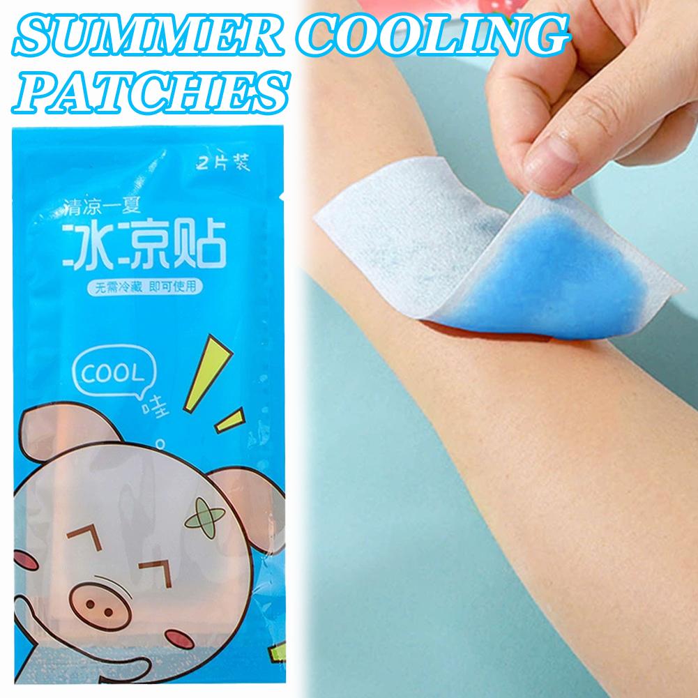 Parches de Gel Refrigerante, L - Electric Blanket Heated reseña y precio